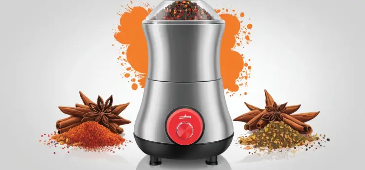 What is the best electric spice grinder